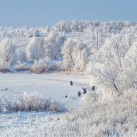 Зимняя рыбалка :: Наталья Ильина