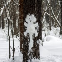Снежный кот :: Виктор Печищев