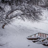 родничек дай воды напиться... :: Игорь 