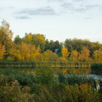 осень :: Сергей Кочнев