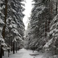 Ждешь, ждешь этого марта...А потом БАЦ и опять кааак февральнуло :: Елена Павлова (Смолова)