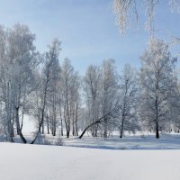 весна :: Николай Мальцев