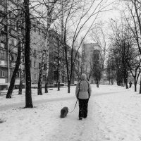 Прогулка :: Юлия Закопайло