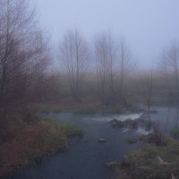 Осенний туман :: Руслан 