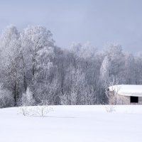 У леса на опушке. :: Александр Гурьянов