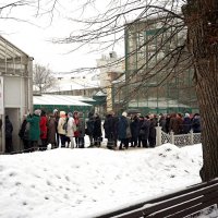 Очередь на выставку "Репетиция ВЕСНЫ" В Аптекарском огороде! :: Татьяна Помогалова