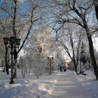 В зимнем парке :: Роман Савоцкий