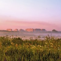 Утро за городом. :: Олег Воронцов