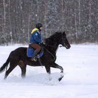 *** :: Ольга Живаева