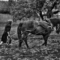 С праздником ! :: олег свирский 