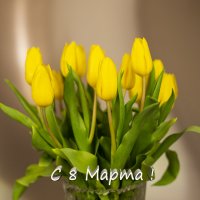 С 8 Марта! :: Виктор Орехов