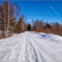 Первые весенние денёчки :: Андрей Дворников