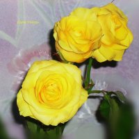 Группа "Солнечные розы" :: Daria Vorons