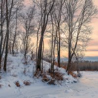 Декабрьский пейзаж :: Любовь Потеряхина