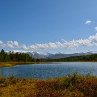 Лёгкий ветерок над озером. :: Валерий Медведев