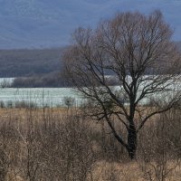 У Чернореченского водохранилища, март :: Игорь Кузьмин