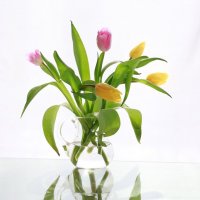 А мне тюльпаны нравятся, когда приходит март!. :: Наталья Казанцева