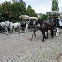 На лошадях по городу. :: sav-al-v Савченко