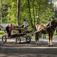 Лекция на колесах. :: Григорий Евдокимов