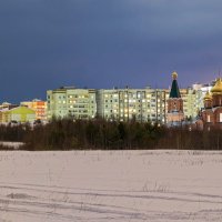 На вечерней прогулке за городом... :: Николай Зиновьев