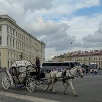 Будни Дворцовой площади. :: Elena Izotova