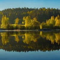 Весеннее утро :: Фёдор. Лашков