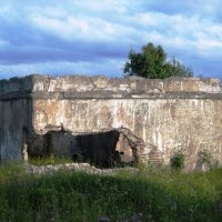 Белошкино :: Артем 