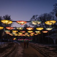 Выставка китайских фонарей :: Андрей Нибылица