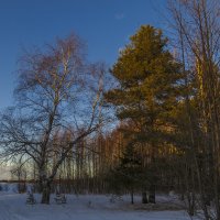 Ранней весной :: Сергей Цветков