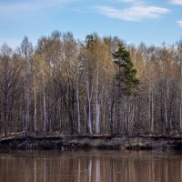 Путешествие под знаком орла.(Нижний - Булгары) :: юрий макаров