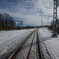 Весенний лес в Ромашково...12-03-2019 :: Юрий Яньков