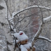 Зайку бросила хозяйка. Bunny abandoned by the mistress. :: Юрий Воронов