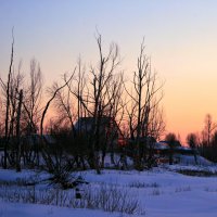 Синий снег, черный лес... горизонта закатное пламя... :: Евгений Юрков