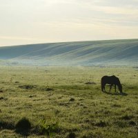 Утро :: Василий Ипатов