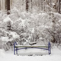 Весенний снегопад :: Анна Суханова