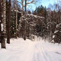 В овраг... :: ВикТор Быстров