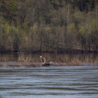 Путешествие под знаком орла.(Нижний - Булгары) :: юрий макаров