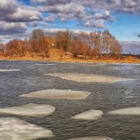 Ледоход 2019 на реке Сож :: Василий Королёв