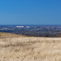 Загородная прогулка :: Игорь Сикорский