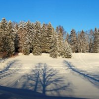 В парке :: Сергей Григорьев