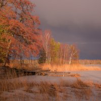 Это не осень,просто кончился мартовский дождь на Вэллен :: liudmila drake