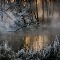 Таинство туманного рассвета... :: Андрей Войцехов