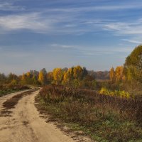 Дорога в осень :: Светлана Карнаух