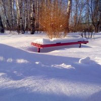 В парке после снегопада... :: Дмитрий Петренко
