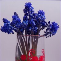 Для друзей - скромные цветы! :: Валентина  Нефёдова 