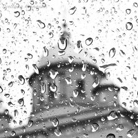 Дождь :: Светлана Карнаух