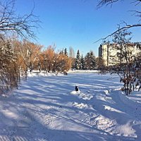 Занесло меня в  занесённый  снегом Саратов :: Виталий Селиванов 