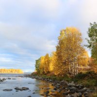 В осенней позолоте :: Ольга 