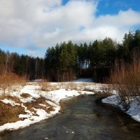 Еще в полях белеет снег, а воды уж весной шумят ... :: Елена Павлова (Смолова)