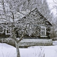 Зима :: Евгений Кочуров